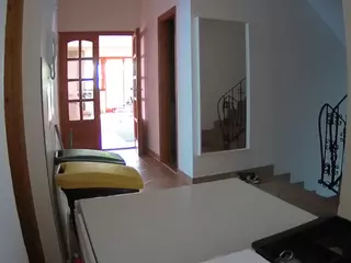 Julmodels Hall 1st Floor's Live Sex Cam Show