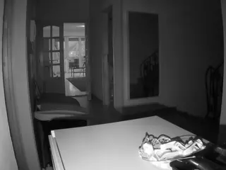 Julmodels Hall 1st Floor's Live Sex Cam Show