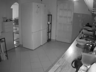 Julmodels Kitchen's Live Sex Cam Show
