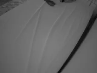 Julmodels Bedroom-C1's Live Sex Cam Show