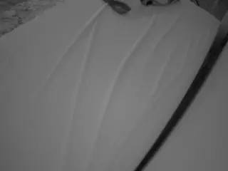 Julmodels Bedroom-C1's Live Sex Cam Show