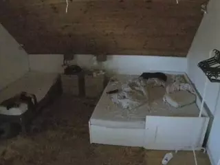 Julmodels Bedroom-C2's Live Sex Cam Show