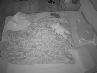 Julmodels Bedroom-C3's Live Sex Cam Show