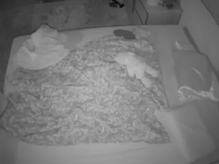 Julmodels Bedroom-C3's Live Sex Cam Show