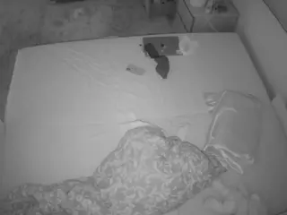 Julmodels Bedroom-C3's Live Sex Cam Show
