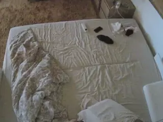 Julmodels Bedroom-C3's Live Sex Cam Show