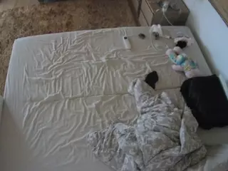 Julmodels Bedroom-C3's Live Sex Cam Show