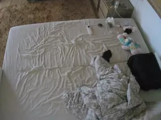 Julmodels Bedroom-C3's Live Sex Cam Show