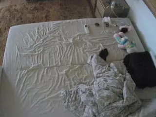 Julmodels Bedroom-C3's Live Sex Cam Show