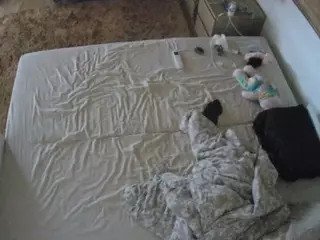 Julmodels Bedroom-C3's Live Sex Cam Show
