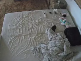 Julmodels Bedroom-C3's Live Sex Cam Show