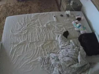 Julmodels Bedroom-C3's Live Sex Cam Show