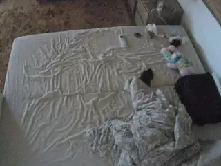 Julmodels Bedroom-C3's Live Sex Cam Show