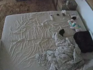 Julmodels Bedroom-C3's Live Sex Cam Show