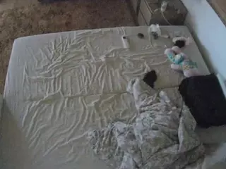 Julmodels Bedroom-C3's Live Sex Cam Show