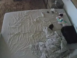 Julmodels Bedroom-C3's Live Sex Cam Show