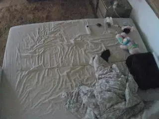 Julmodels Bedroom-C3's Live Sex Cam Show