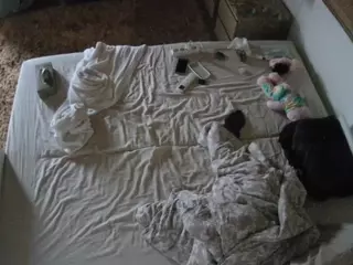 Julmodels Bedroom-C3's Live Sex Cam Show
