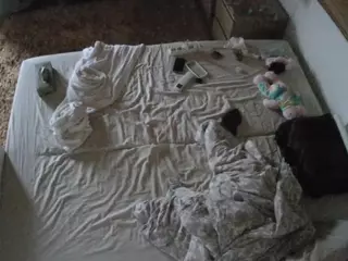 Julmodels Bedroom-C3's Live Sex Cam Show