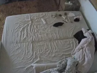 Julmodels Bedroom-C3's Live Sex Cam Show