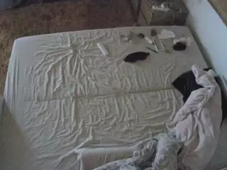 Julmodels Bedroom-C3's Live Sex Cam Show