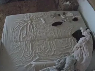 Julmodels Bedroom-C3's Live Sex Cam Show
