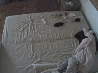 Julmodels Bedroom-C3's Live Sex Cam Show