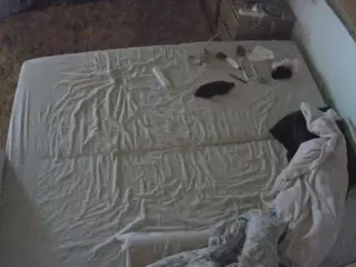 Julmodels Bedroom-C3's Live Sex Cam Show