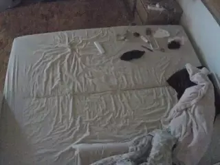 Julmodels Bedroom-C3's Live Sex Cam Show