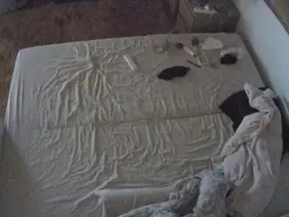 Julmodels Bedroom-C3's Live Sex Cam Show