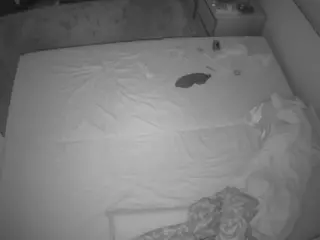 Julmodels Bedroom-C3's Live Sex Cam Show