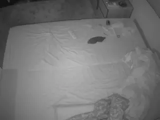 Julmodels Bedroom-C3's Live Sex Cam Show