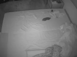 Julmodels Bedroom-C3's Live Sex Cam Show