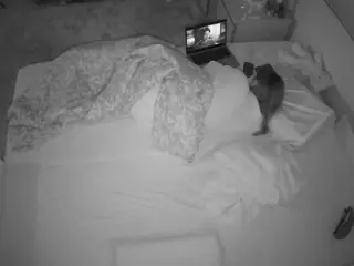 Julmodels Bedroom-C3's Live Sex Cam Show