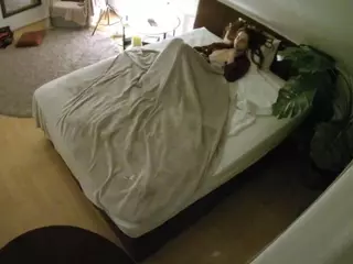 Julmodels Bedroom-A1's Live Sex Cam Show