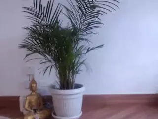 gingermd's Live Sex Cam Show