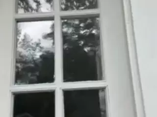 Switchy Kitty's Live Sex Cam Show