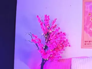 NAMI's Live Sex Cam Show
