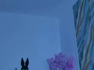 Kitty Star's Live Sex Cam Show