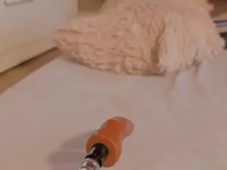 EveLust's Live Sex Cam Show