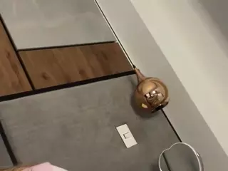 sophiekitty's Live Sex Cam Show