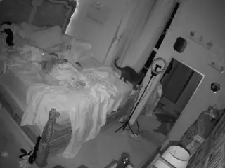 voyeurcam hornyhostel 03's Live Sex Cam Show