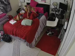The Horny Hostel - Bedroom 2's Live Sex Cam Show