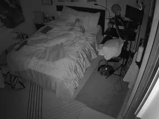 The Horny Hostel - Bedroom 2's Live Sex Cam Show