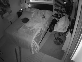 The Horny Hostel - Bedroom 2's Live Sex Cam Show