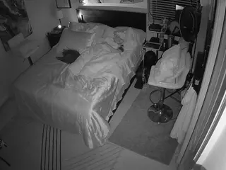 The Horny Hostel - Bedroom 2's Live Sex Cam Show