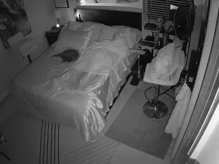 The Horny Hostel - Bedroom 2's Live Sex Cam Show