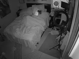 The Horny Hostel - Bedroom 2's Live Sex Cam Show