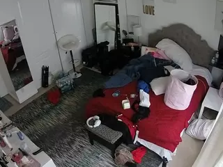 voyeurcam hornyhostel 02's Live Sex Cam Show