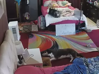 Sexy Girls Room's Live Sex Cam Show